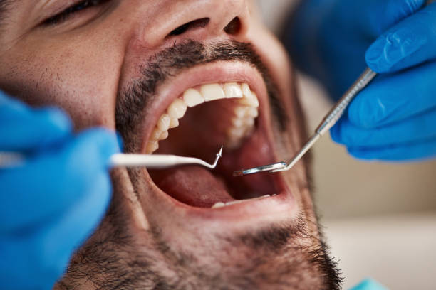 Best Cosmetic Emergency Dentistry in Scotts Hill, TN